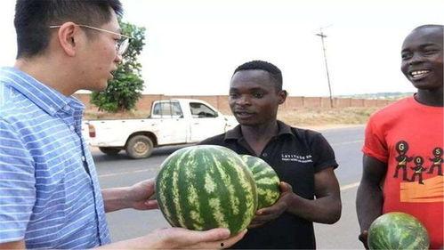 谁有黑料吃瓜网,谁有黑料,吃瓜网带你一探究竟