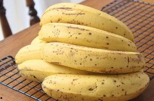 小蕉黑瓜吃料,探寻食材背后的故事与美味